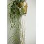 Plant Hanger, Macrame Plant Hanger, Special hanging planter, macrame plant holder, fabric Art, boho art, boho decor, retro, plant holder Plant Hanger, Macrame Plant Hanger, Special hanging planter, macrame plant holder, fabric Art, boho art, boho decor, retro, plant holder