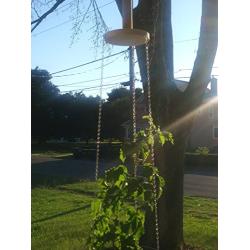 Plant Hanger - Lyra