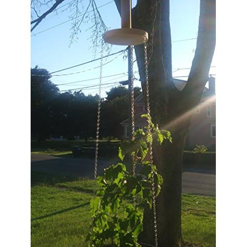 Plant Hanger - Lyra