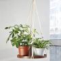 CAPTHOME Macrame Plant Hangers Hanger Rope Hanging Planter Indoor Cotton Rope Hanging Planter Basket Flower Pot Holder Boho Handmade Chic Bohemian Home Decoration