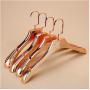 5Pcs Gold Plastic Hanger for Clothes Organizer Clothing Coat Suit Hanger Closet Decoration