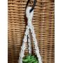 Macrame Mini Car Plant Hanger. Car Accessory