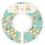 Mumsy Goose Baby Girl Clothes Dividers Nursery Closet Dividers Closet Organizers Boho Gold