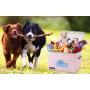 Toy Chest Kids Toy Cube Storage Boxes Large Decorative Storage Bin with Lid for Boys Girls Room