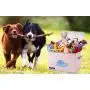 Toy Chest Kids Toy Cube Storage Boxes Large Decorative Storage Bin with Lid for Boys Girls Room