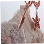 10pcs Stainless Steel Hangers Bra Pants Clothes Hangers Hook with Non Slip Clips for Shop Display