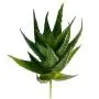 Supla 2 Pcs Textured Faux Succulent Pick, Spiky Green Haworthia Cactus,Artificial mini aloe,unpotted (green) Supla 2 Pcs Textured Faux Succulent Pick, Spiky Green Haworthia Cactus,Artificial mini aloe,unpotted (green)