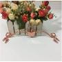 Fashion Butterfly Metal Bra Clothes Hanger Twisted Lines Underwear Lingerie Drying Rack with Clothes Pins 28cm (10pcs Random Color)