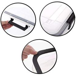 Fiaze 2-Pack 10 L Clear Latch Boxes with Lid, Plastic Storage Box
