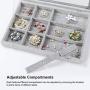 Hivory Bangles & Ear Rings Storage Boxes with Transparent Lid ~ 12 Grid ~ See Through Top Display Case Accessories Storage Jewelry Boxes (12 Grid)