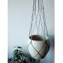 Macrame plant hanger