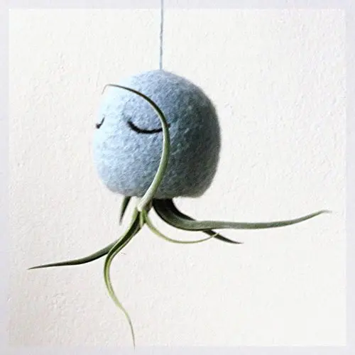 Air plant holder - Octopus air plant hanger - Choose your color! Air plant holder - Octopus air plant hanger - Choose your color!