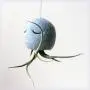 Air plant holder - Octopus air plant hanger - Choose your color! Air plant holder - Octopus air plant hanger - Choose your color!