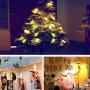 Zedoli Waterproof 20 LED Photo Clips String Lights, Battery Powered,String Lights for Indoor/Outdoor Decorate,String Lights with Photo Clips for Hanging Pictures,Cards and Artwork(10 Ft,Warm White) Zedoli Waterproof 20 LED Photo Clips String Lights, Battery Powered,String Lights for Indoor/Outdoor Decorate,String Lights with Photo Clips for Hanging Pictures,Cards and Artwork(10 Ft,Warm White)