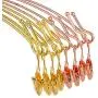 Cabilock Clothes Hanger 10PCS Anti-Slip Clothes Hangers Thickened Undewear Hanger Clip Hangers for Home Shop (Gold Smooth)