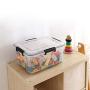 Fiaze 2-Pack 10 L Clear Latch Boxes with Lid, Plastic Storage Box