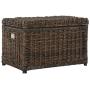 happimess Elijah 30" Wicker Storage Trunk, Brown