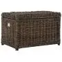 happimess Elijah 30" Wicker Storage Trunk, Brown happimess Elijah 30" Wicker Storage Trunk, Brown