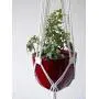 Cotton Modern Macrame plant hanger- Natural white cord Cotton Modern Macrame plant hanger- Natural white cord
