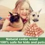 ACMETOP Cedar Blocks, 100% Natural Cedar Blocks for Clothes Storage, Aromatic Cedar Balls, Storage Accessories Closets & Drawers (100Pack) ACMETOP Cedar Blocks, 100% Natural Cedar Blocks for Clothes Storage, Aromatic Cedar Balls, Storage Accessories Closets & Drawers (100Pack)