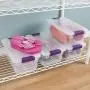 Sterilite 17511712 6 Quart/5.7 Liter ClearView Latch Box, Clear with Sweet Plum Latches, 12-Pack