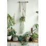 Plant Hanger, Macrame Plant Hanger, Special hanging planter, macrame plant holder, fabric Art, boho art, boho decor, retro, plant holder Plant Hanger, Macrame Plant Hanger, Special hanging planter, macrame plant holder, fabric Art, boho art, boho decor, retro, plant holder