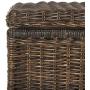 happimess Elijah 30" Wicker Storage Trunk, Brown