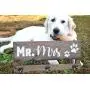 Key & Leash Holder - Mr Mrs Coat Rack - Mr Mrs Key Hanger Leash Hanger - Dog Lovers Gift - Key and Leach Hook - Key and Leash Hanger Key & Leash Holder - Mr Mrs Coat Rack - Mr Mrs Key Hanger Leash Hanger - Dog Lovers Gift - Key and Leach Hook - Key and Leash Hanger