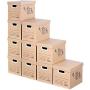 SEMAXE Stroage Carton Boxes with Lift-Off Lid，Portadle File Storage Tape-Free Assembly Moving Boxes, 10-Pack,14" x 11" x 10"