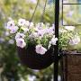 Hanging Flower Pot Balcony Brown Plastic Rattan Design Hanging Bowl Hanging Hanging Pile Bag 2 Planting Basketball-Shaped Hanging Basket Modern Decorative Hanger
