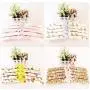 5pcs Random Color Blossom Sponge Padded Clothes Hanger,Clothes Suit Dress Hangers Rack Skid Resistance Cotton Satin Coat Hangers 5pcs Random Color Blossom Sponge Padded Clothes Hanger,Clothes Suit Dress Hangers Rack Skid Resistance Cotton Satin Coat Hangers