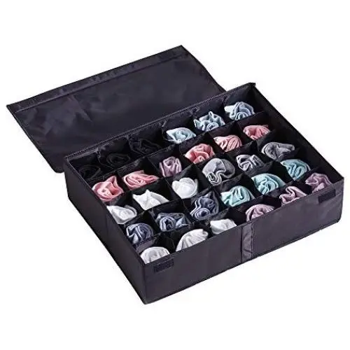 MIFXIN Underwear Socks Storage Organizer Drawer Divider 30 Cell Foldable Closet Drawer Organizer Storage Boxes Bin for Socks Bras Underwear Ties with Dust/Moisture Proof Cover (Black) MIFXIN Underwear Socks Storage Organizer Drawer Divider 30 Cell Foldable Closet Drawer Organizer Storage Boxes Bin for Socks Bras Underwear Ties with Dust/Moisture Proof Cover (Black)