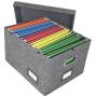 File Organizer Boxes Storage with Lid, Collapsible Hanging Documents for Files, Filing, Portable, Book, Folder Holder, Desktop, Letter and Legal File Storage Box, Gray 1 Pack