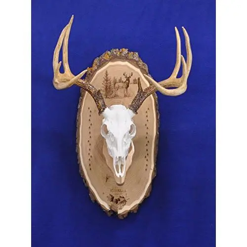 Antler Mount Kit | European Antler Kit | European Skull Mount | Deer Skull Kit | Deer Hunting | Antler Skull Mount | THIS SKULL AND ANTLERS ARE NOT INCLUDED Antler Mount Kit | European Antler Kit | European Skull Mount | Deer Skull Kit | Deer Hunting | Antler Skull Mount | THIS SKULL AND ANTLERS ARE NOT INCLUDED