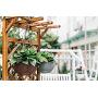 Hanging Flower Pot Holder Silver Plastic Rattan Design Bag with 4 Balconies Hanging Bowl Hanging Beam Frame Plant Basketball Hanging Basket Modern Decorative Hanger