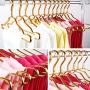 Creation Core Pack of 10 Stylish Aluminum Metal Coat Suit Clothes Hangers(Golden)