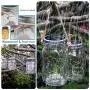 Shelley Solar Mason Jar Lid Lights,10 Pack 30 LEDs(Hanger Included) String Fairy Lights Solar Laterns Table Lights,Great Outdoor Lawn Decor for Patio Garden, Yard(No Jars) (Warm White)
