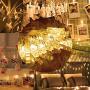 LED Photo Clips String Lights, Battery Operated - Features Movable Photo Clips - Long Lasting Heavy Duty - Ideal for Hanging Pictures, Cards, Artwork, Decorations,50 LEDs