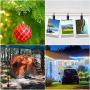 Teenitor 100 Pack Curtain Clips Stainless Steel Light Hanger Hooks Christmas Party Decor Supplies for Camp Tent Photo Display Indoor and Outdoor Decoration Teenitor 100 Pack Curtain Clips Stainless Steel Light Hanger Hooks Christmas Party Decor Supplies for Camp Tent Photo Display Indoor and Outdoor Decoration