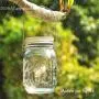 ARAn Solar Mason Jar Lid Lights, 16 Pack 30 LED Fairy Star Firefly String Lids Lights with 16 Hangers and 6 PVC (No Jars),for Mason Jar Patio Garden Wedding Lantern ARAn Solar Mason Jar Lid Lights, 16 Pack 30 LED Fairy Star Firefly String Lids Lights with 16 Hangers and 6 PVC (No Jars),for Mason Jar Patio Garden Wedding Lantern