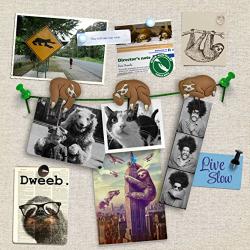 Fred SLOTHS ON A VINE Picture Hangers, Set of 6