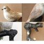 Creative Retro Bird Hooks Wall Hanger for Bag Key Clothes Bathroom Kitchen Towel Holder Wall Mount Resin Hanger Rack Decoration Wedding Gift (B)