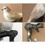 Creative Retro Bird Hooks Wall Hanger for Bag Key Clothes Bathroom Kitchen Towel Holder Wall Mount Resin Hanger Rack Decoration Wedding Gift (A) Creative Retro Bird Hooks Wall Hanger for Bag Key Clothes Bathroom Kitchen Towel Holder Wall Mount Resin Hanger Rack Decoration Wedding Gift (A)