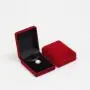 Plush Velvet Travel Jewelry Case, Mini Jewelry Box, Small Jewelry Organizer Portable Display Jewelry Storage Case for Necklace ,Gifts for Girls Women
